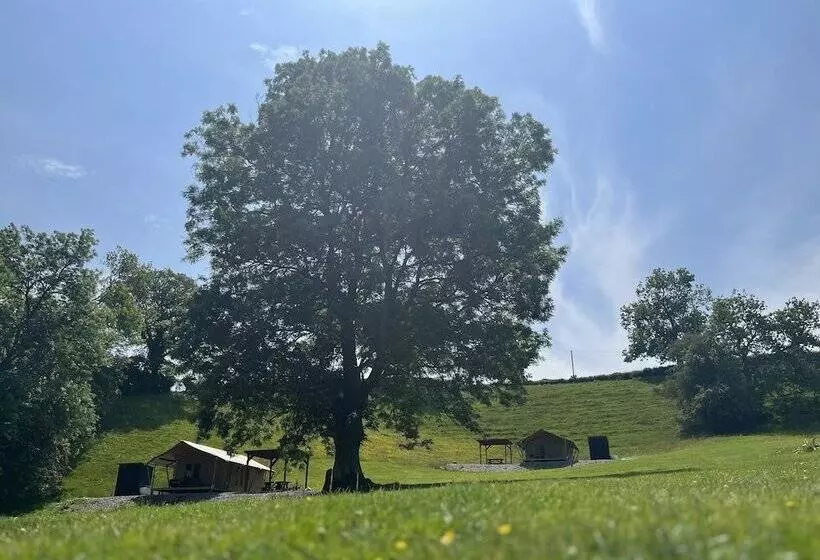 Hotelli Remarkable 2 Bed Safari Lodge In Llanidloes