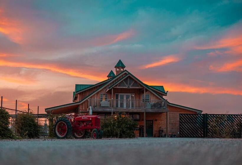 فندق ريفى Casa Grande