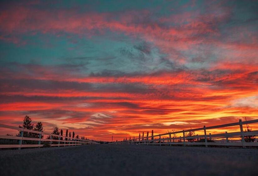 فندق ريفى Casa Grande