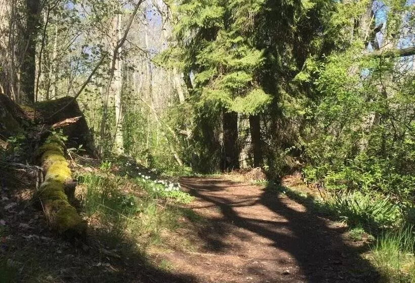 Skåvsjöholm Hotell & Konferens