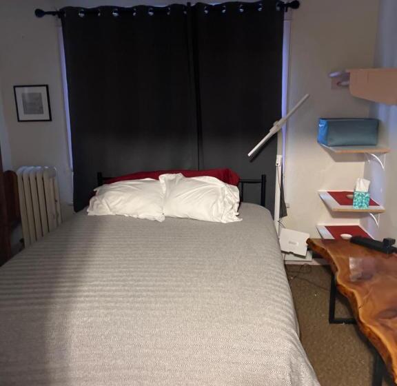 فندق Springer Station