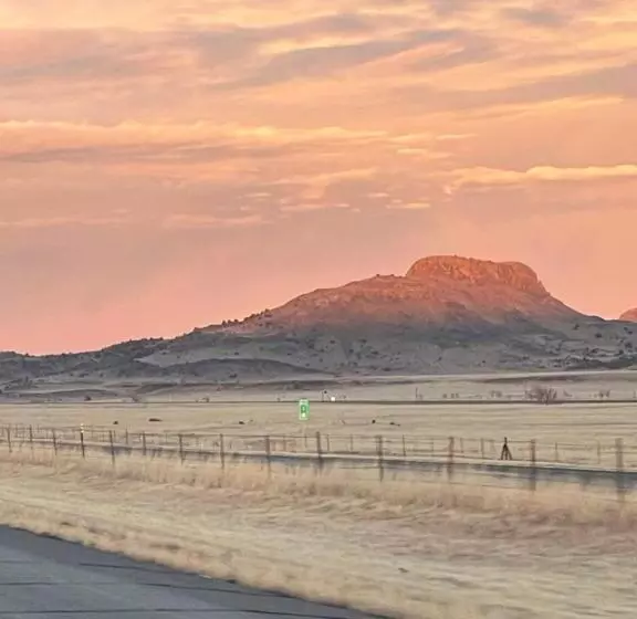 Hotelli Springer Station