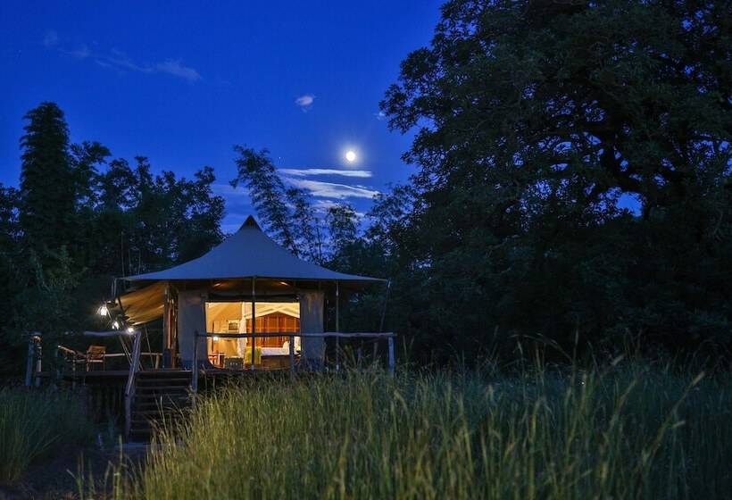 ホテル The Untamed Bandhavgarh By Tutc