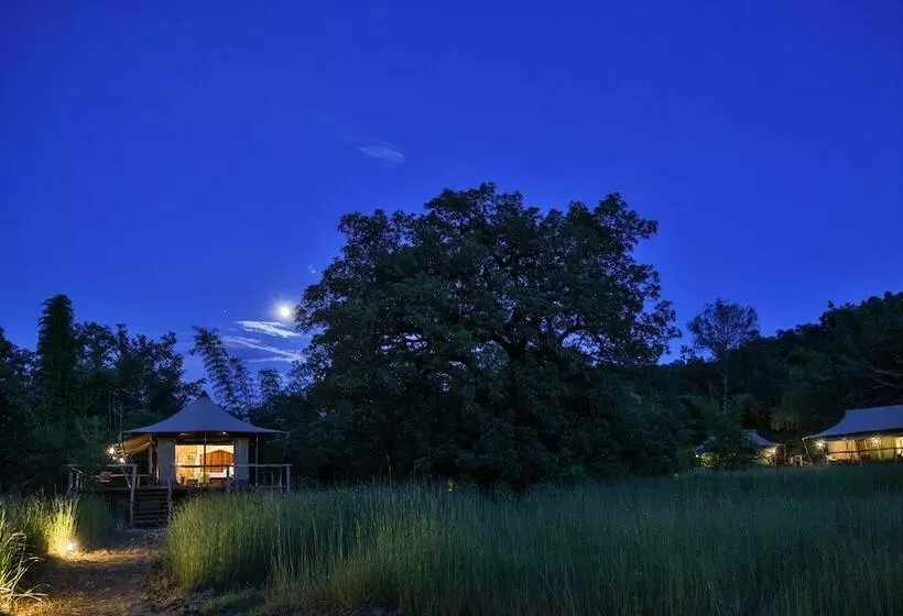 Hotelli The Untamed Bandhavgarh By Tutc