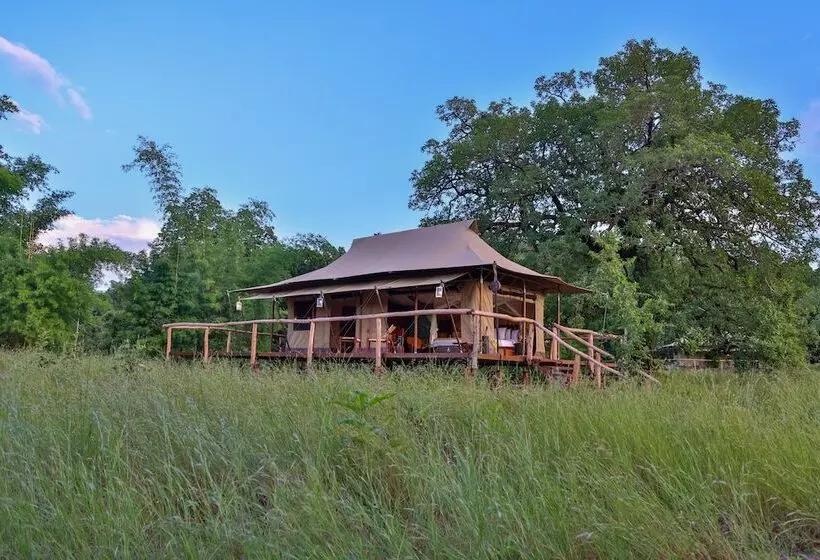 Hotelli The Untamed Bandhavgarh By Tutc