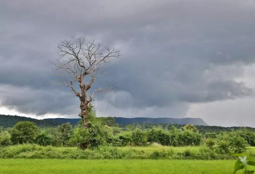 Hotelli The Untamed Bandhavgarh By Tutc