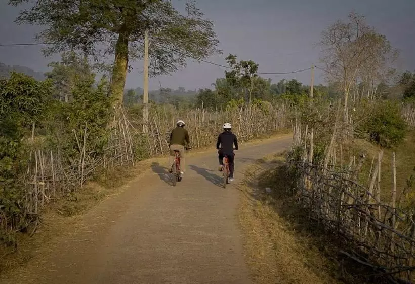 Hotelli The Untamed Bandhavgarh By Tutc