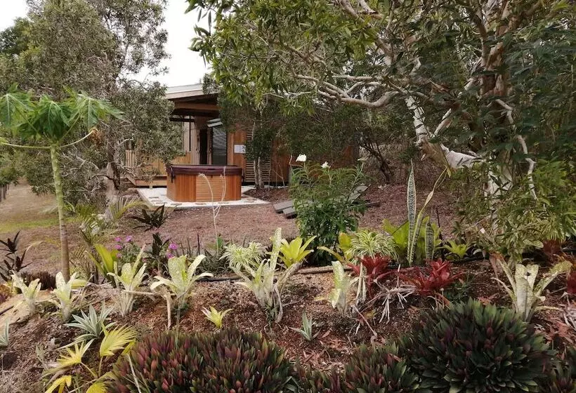 پانسیون Niaouli Lodge