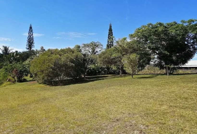 پانسیون Niaouli Lodge