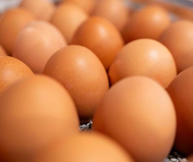 Hotel Prize By Radisson, Dresden Mitte