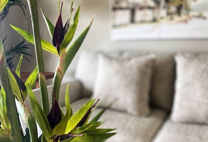 Sunset Reef St.kitts