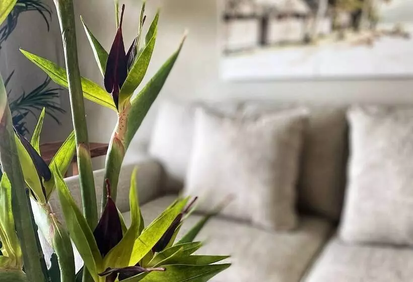 Sunset Reef St.kitts