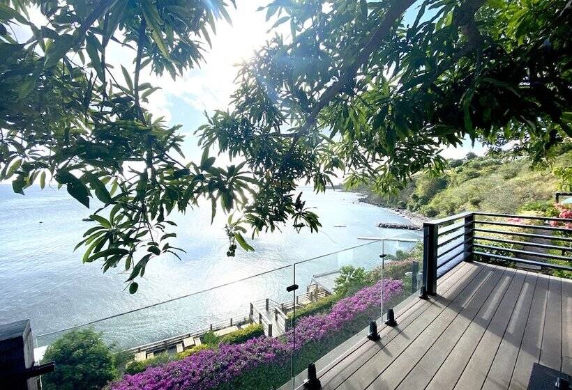 Sunset Reef St.kitts