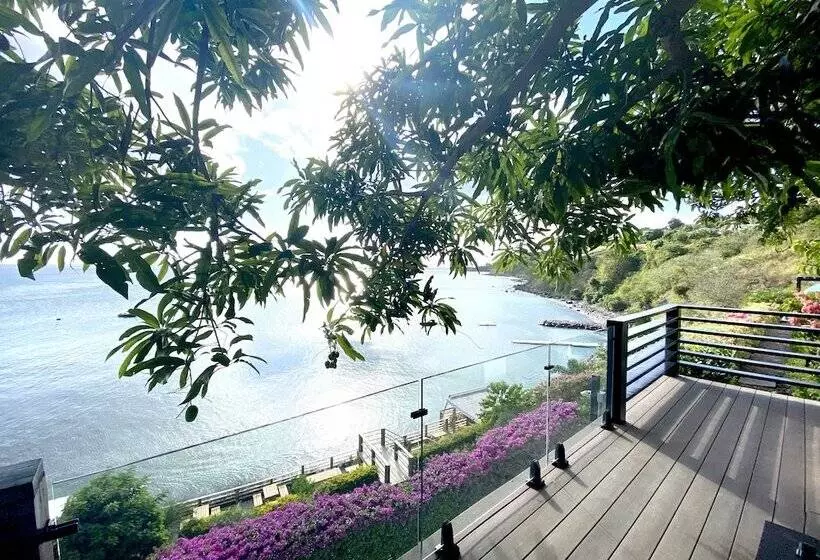 Sunset Reef St.kitts