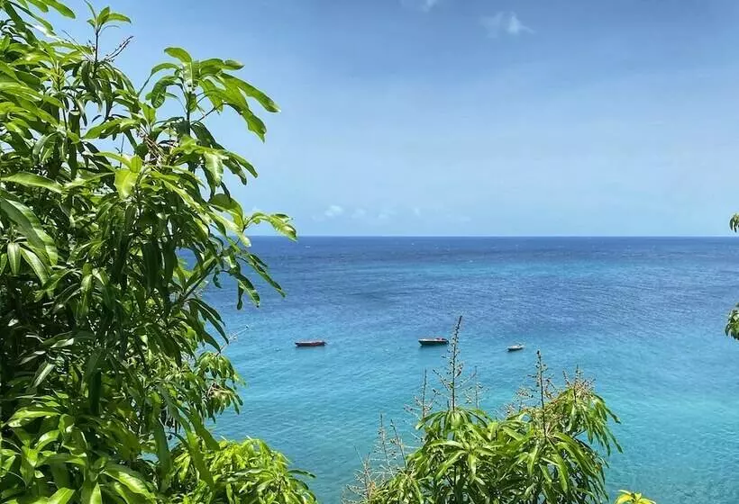 Sunset Reef St.kitts