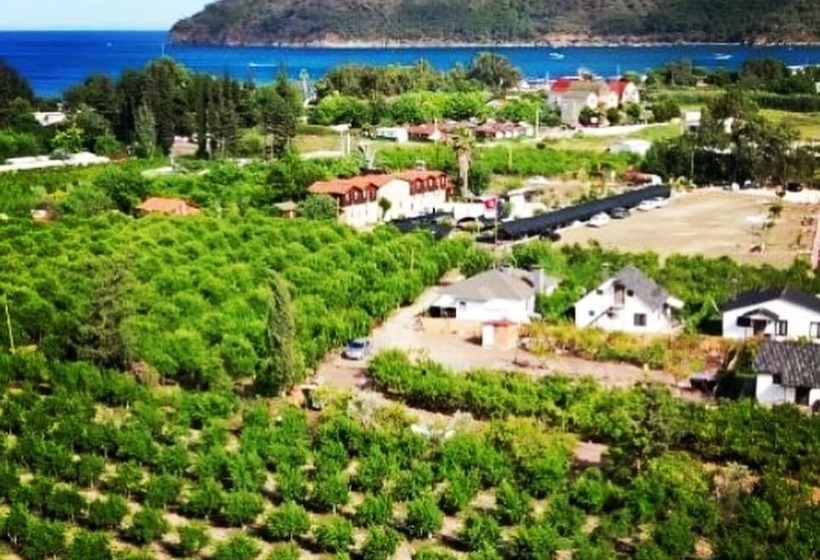 Utopya Apart Kamp Alani