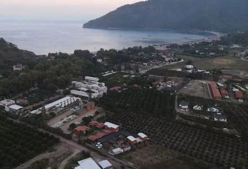 Utopya Apart Kamp Alani