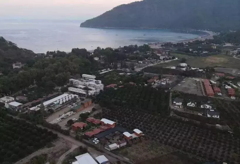 Utopya Apart Kamp Alani