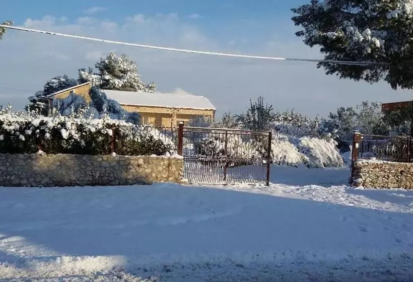 Aamiaismajoitus (B&B) Mazzara Farm