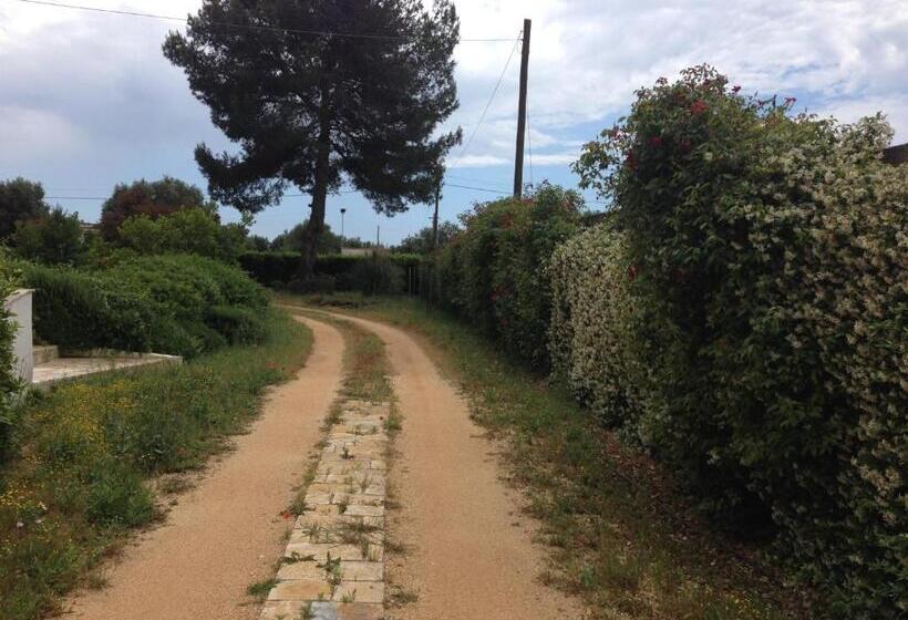 צימר Mazzara Farm