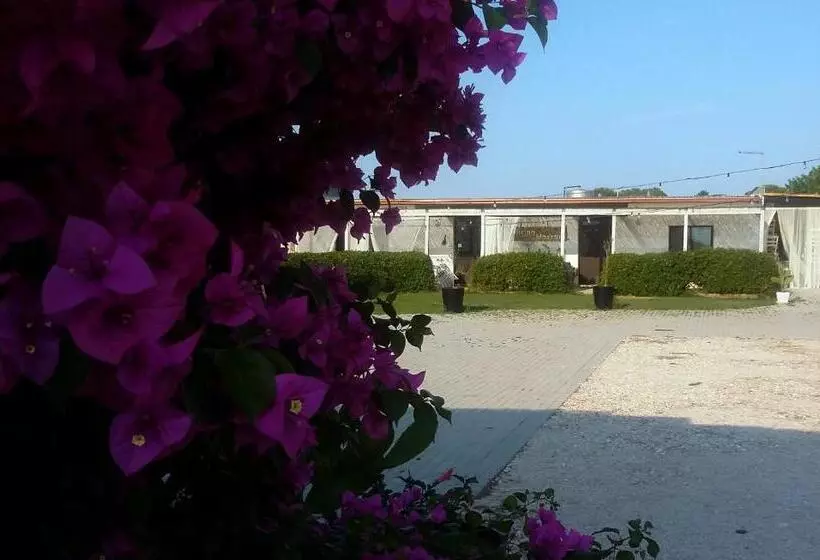 Aamiaismajoitus (B&B) Mazzara Farm