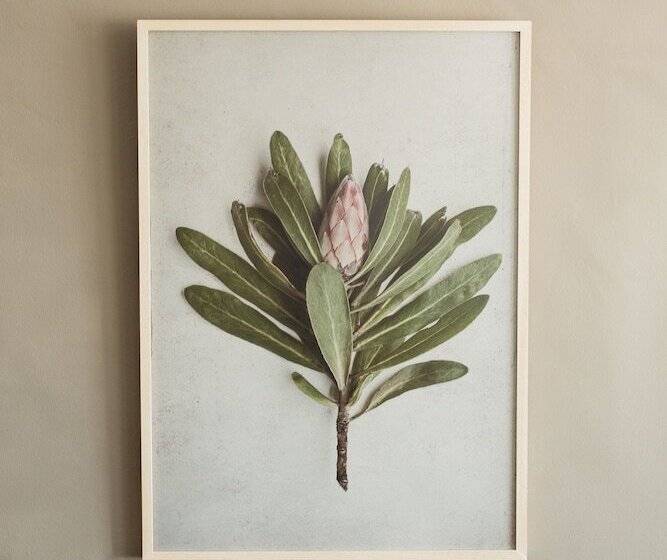 膳宿费 De Linden Boutique Guest House