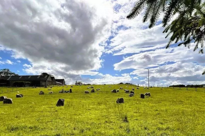 Deveron Valley Cottages