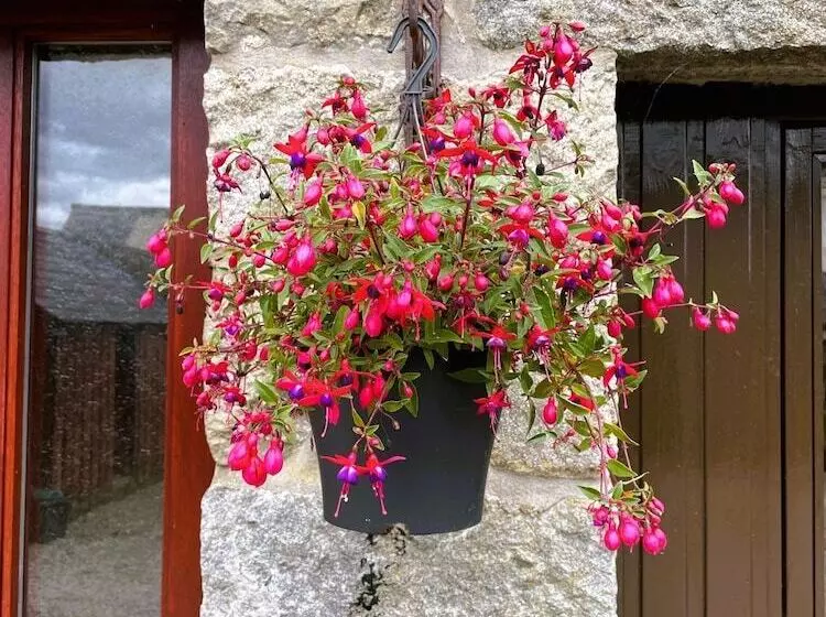 Deveron Valley Cottages