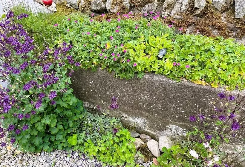 Deveron Valley Cottages