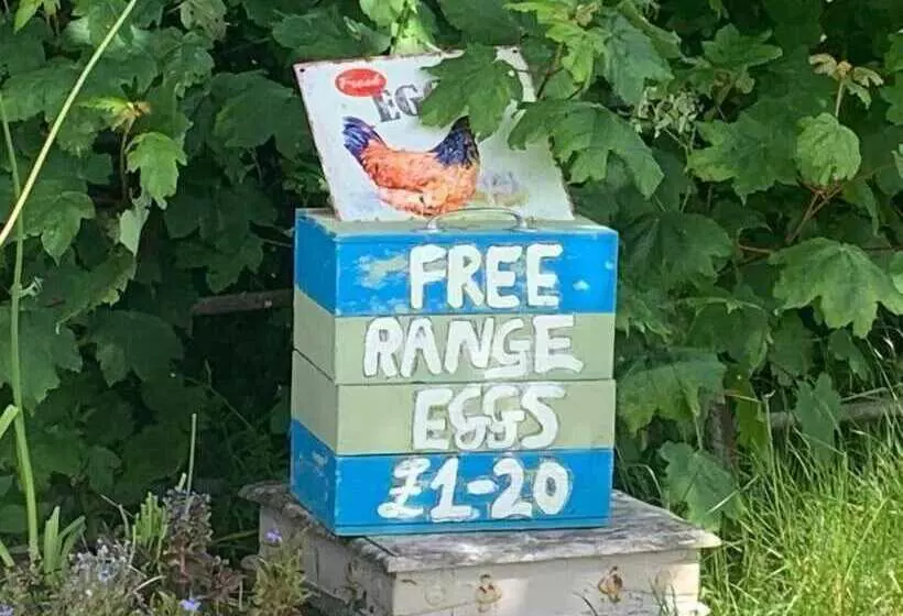 Deveron Valley Cottages