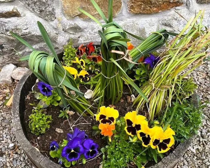 Deveron Valley Cottages