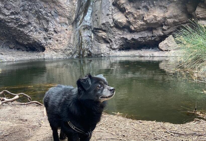 Bed and Breakfast Alojamientos Charco Azul