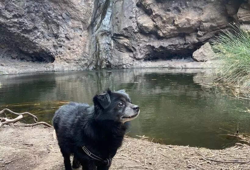 ベッドアンドブレックファースト Alojamientos Charco Azul