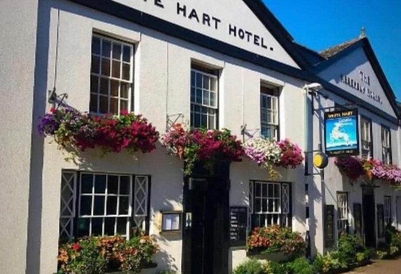 호텔 The White Hart