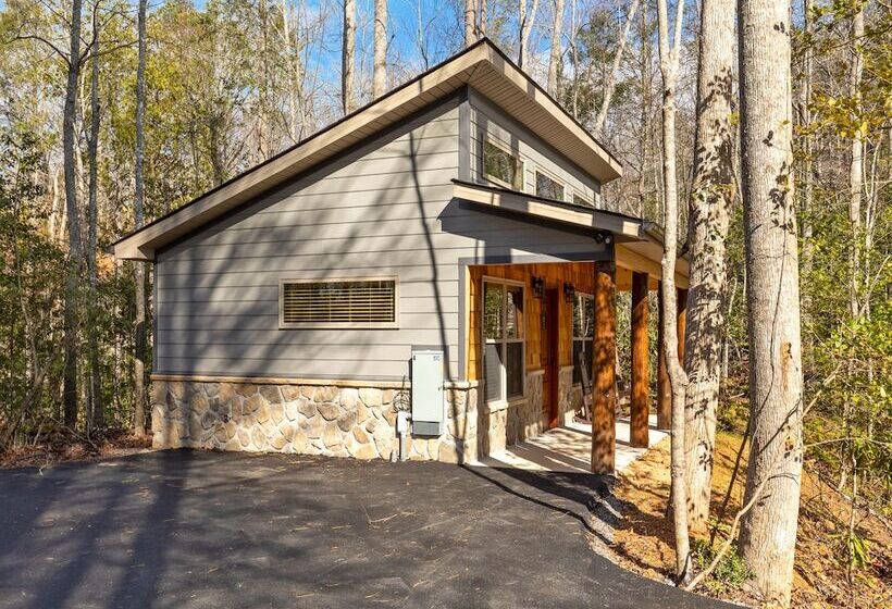 Mount Cammerer Unit 4