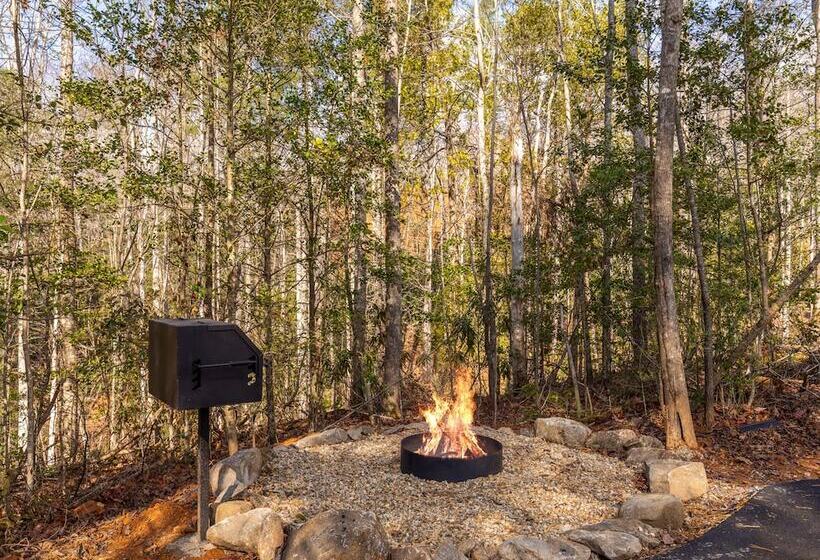 Mount Cammerer   Unit 4