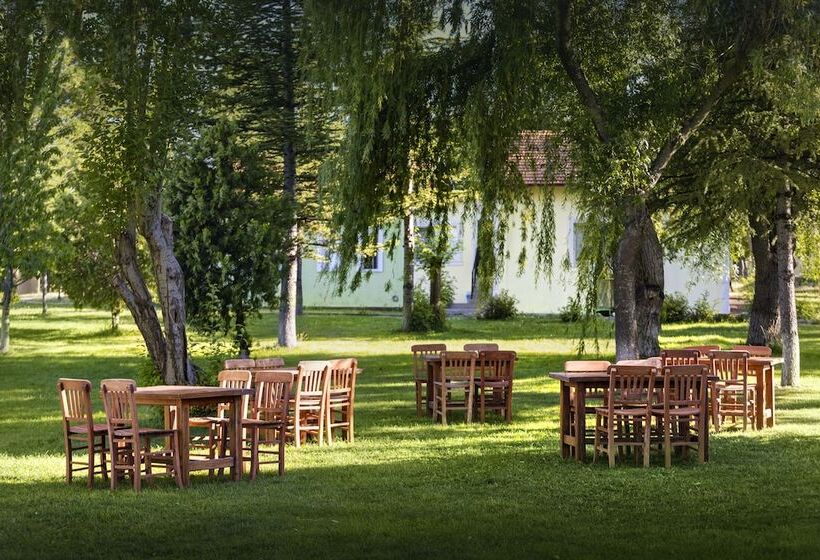 Resort Ağaoğlu My Termal