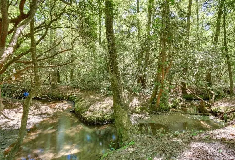 Creekside Sautee Nacoochee Home: 8 Mi To Helen!