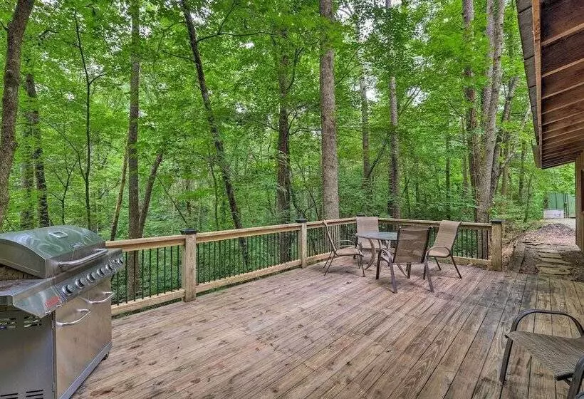 Jasper  7 Timbers  Cabin On 10 Acres W/ A Creek!