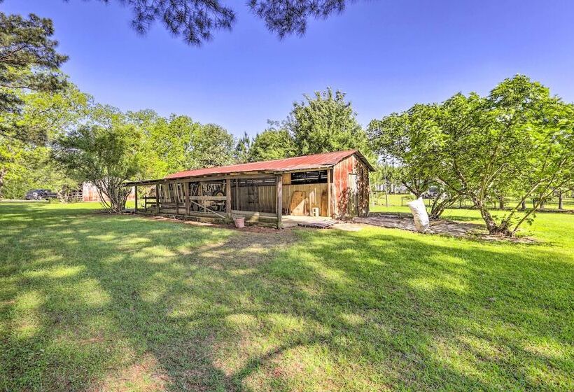 Peaceful Cairo Farmhouse W/ Barn & Fire Pit