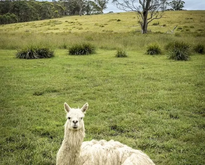 田舎風ホテル The Vale Penrose