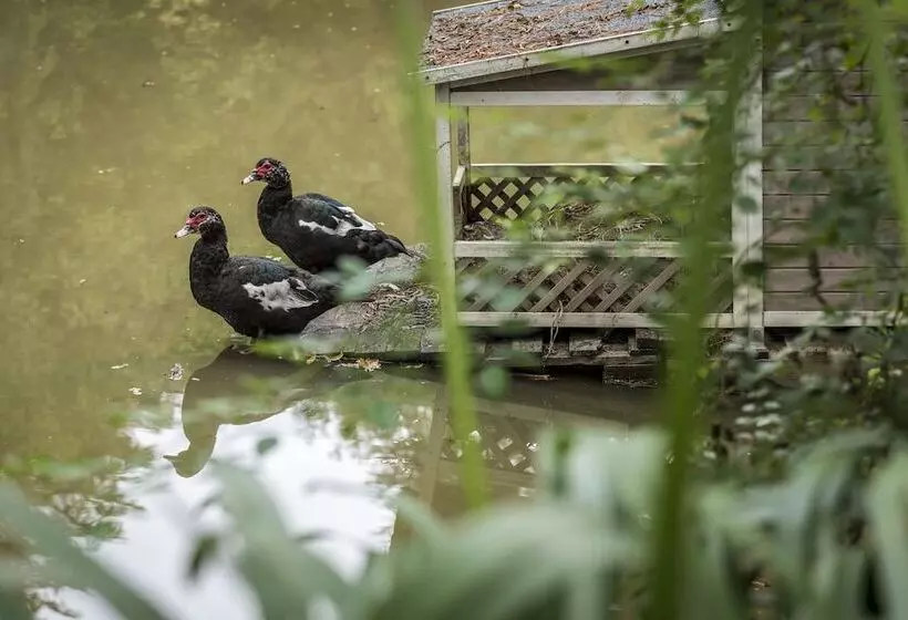 田舎風ホテル The Vale Penrose