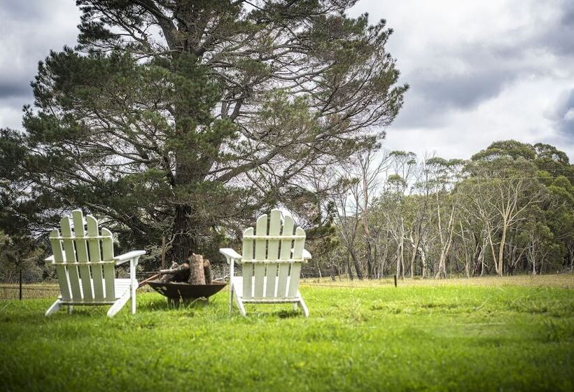 בית מלון כפרי The Vale Penrose