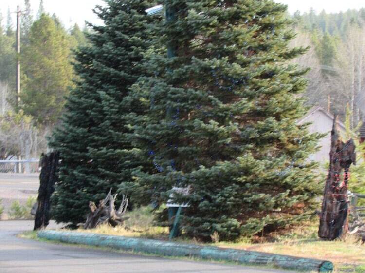 Otel The Woodsman Country Lodge