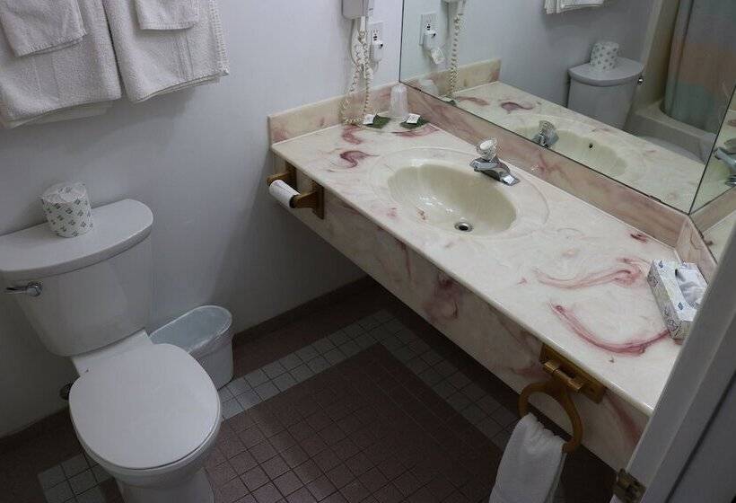 モーテル Fenelon Inn