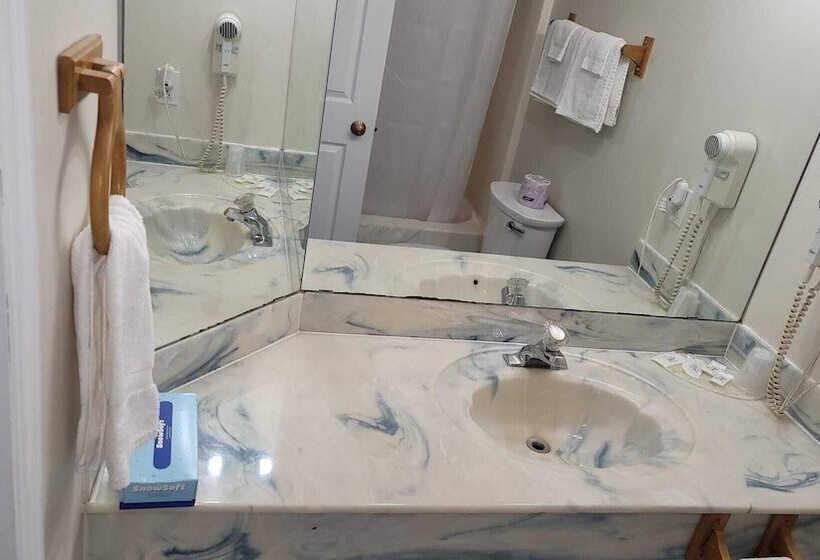 モーテル Fenelon Inn