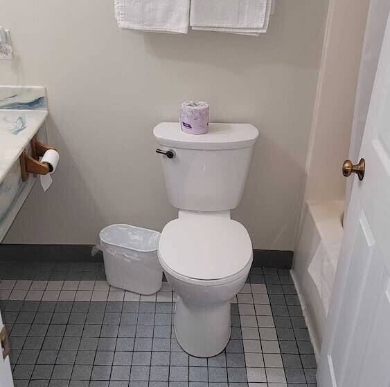 モーテル Fenelon Inn