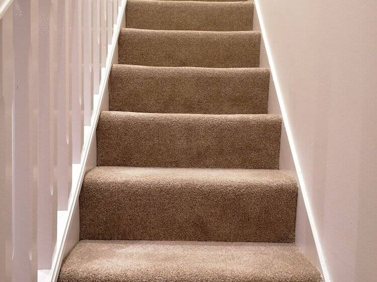 膳宿费 92 Seaford Street