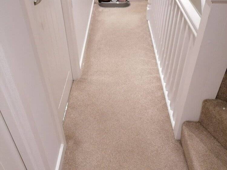 膳宿费 92 Seaford Street