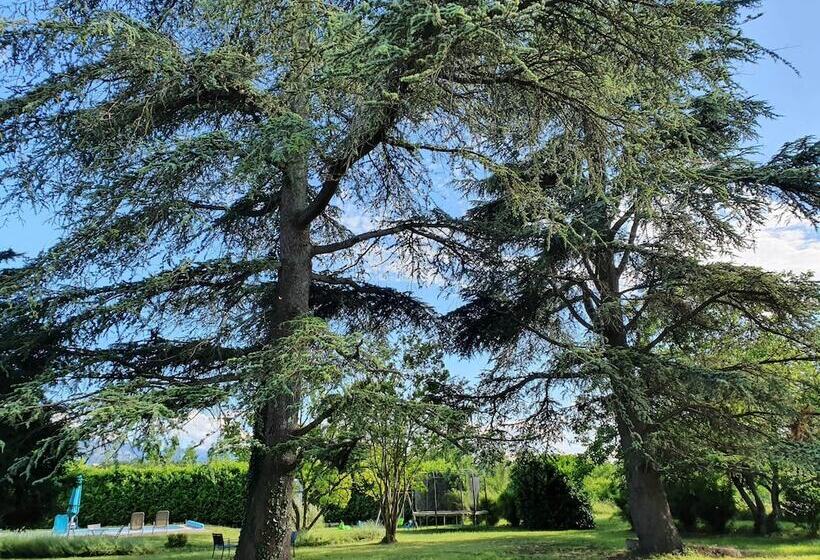 펜션 Le Cèdre Bleu